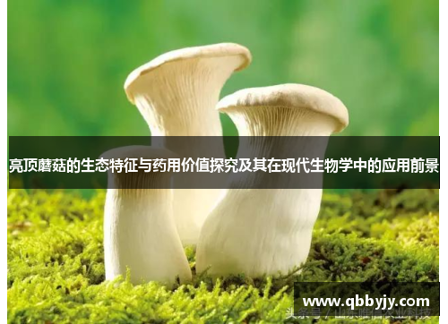 亮顶蘑菇的生态特征与药用价值探究及其在现代生物学中的应用前景